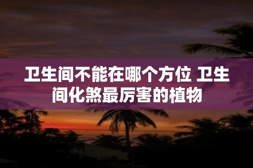 卫生间不能在哪个方位 卫生间化煞最厉害的植物