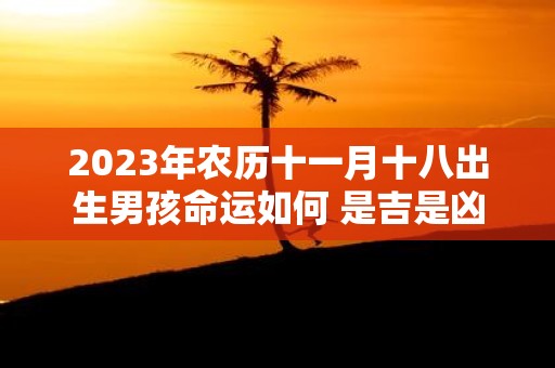 2025年农历十一月十八出生男孩命运如何 是吉是凶