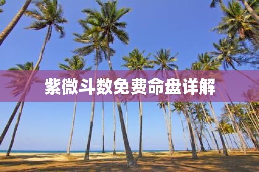 紫微斗数免费命盘详解