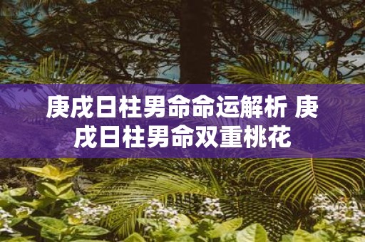 庚戌日柱男命命运解析 庚戌日柱男命双重桃花