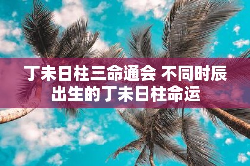 丁未日柱三命通会 不同时辰出生的丁未日柱命运
