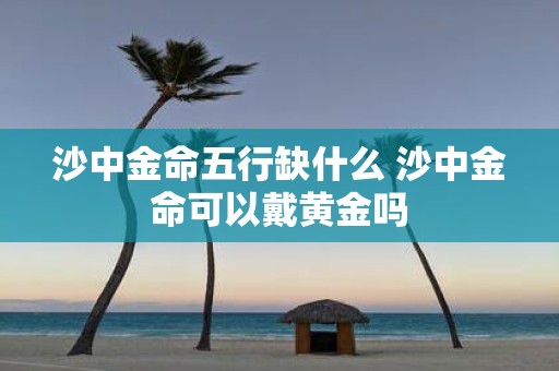 沙中金命五行缺什么 沙中金命可以戴黄金吗