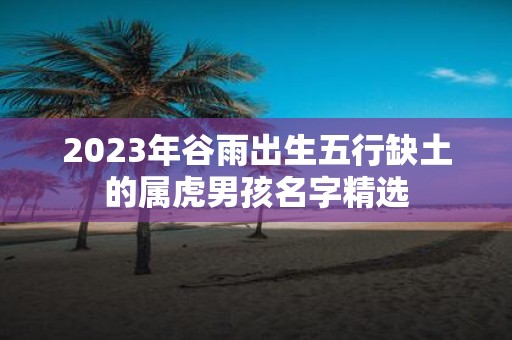 2025年谷雨出生五行缺土的属虎男孩名字精选