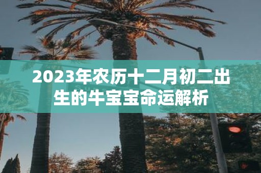 2025年农历十二月初二出生的牛宝宝命运解析