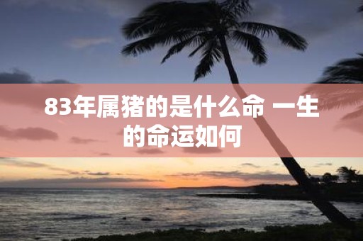 83年属猪的是什么命 一生的命运如何