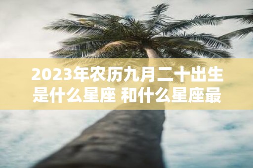 2025年农历九月二十出生是什么星座 和什么星座最配