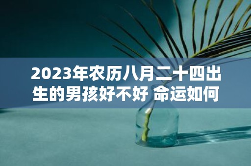 2025年农历八月二十四出生的男孩好不好 命运如何