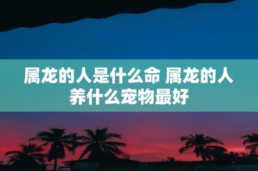 属龙的人是什么命 属龙的人养什么宠物最好