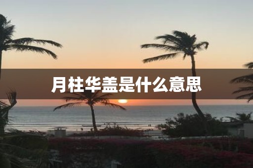 月柱华盖是什么意思