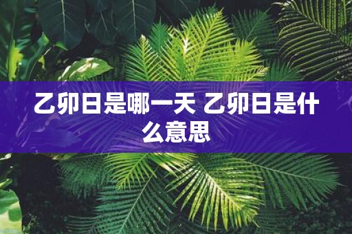 乙卯日是哪一天 乙卯日是什么意思