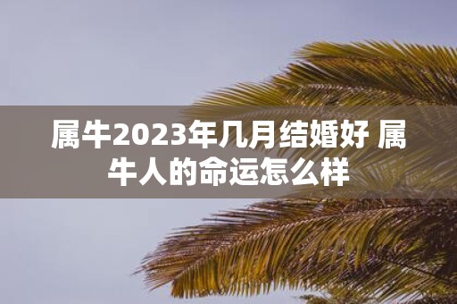 属牛2025年几月结婚好 属牛人的命运怎么样