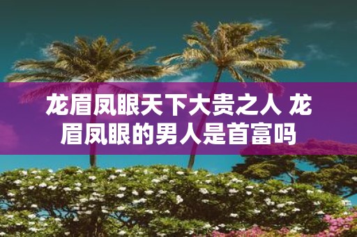 龙眉凤眼天下大贵之人 龙眉凤眼的男人是首富吗