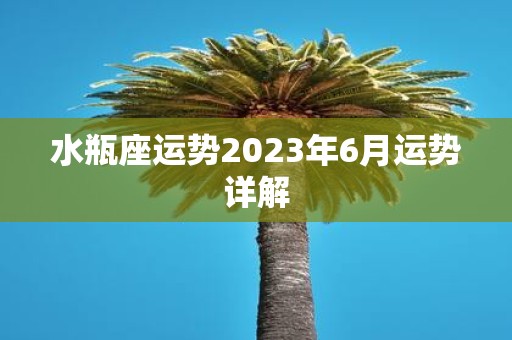 水瓶座运势2025年6月运势详解