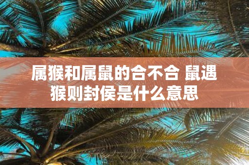属猴和属鼠的合不合 鼠遇猴则封侯是什么意思