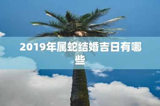 2019年属蛇结婚吉日有哪些