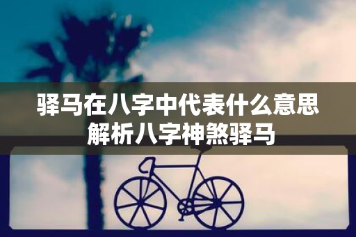 驿马在八字中代表什么意思 解析八字神煞驿马
