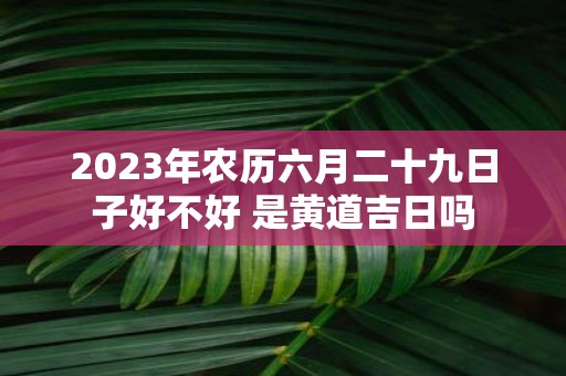 2025年农历六月二十九日子好不好 是黄道吉日吗