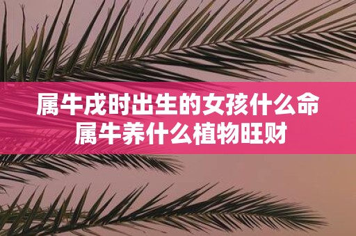属牛戌时出生的女孩什么命 属牛养什么植物旺财