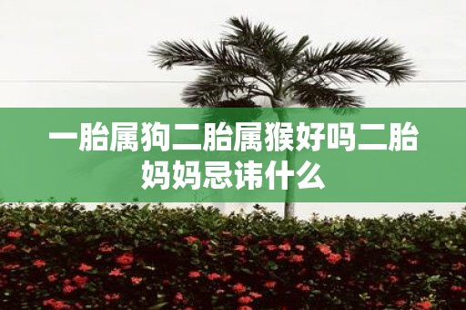 一胎属狗二胎属猴好吗二胎妈妈忌讳什么
