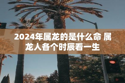 2025年属龙的是什么命 属龙人各个时辰看一生