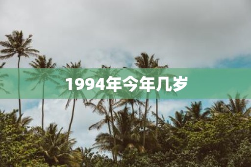 1994年今年几岁