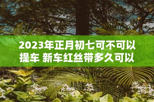 2025年正月初七可不可以提车 新车红丝带多久可以拿掉