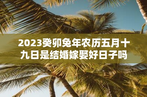 2025癸卯蛇年农历五月十九日是结婚嫁娶好日子吗