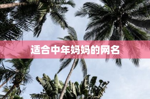 适合中年妈妈的网名
