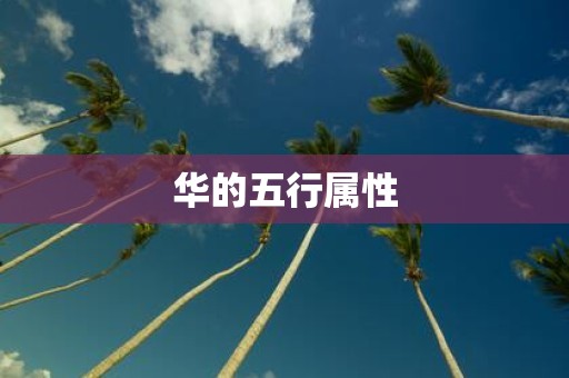 华的五行属性