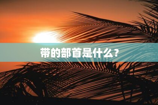 带的部首是什么？