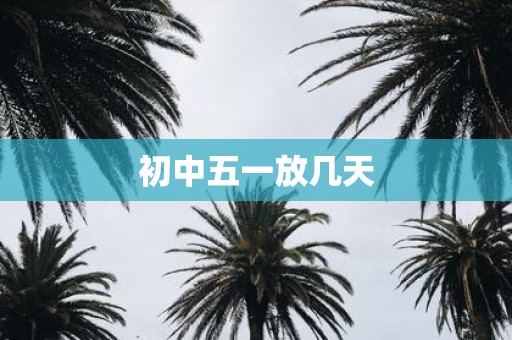 初中五一放几天