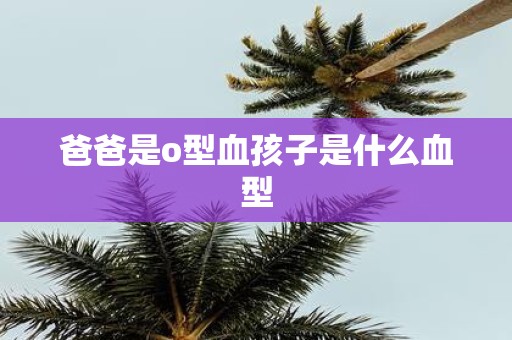 爸爸是o型血孩子是什么血型