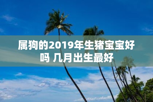 属狗的2019年生猪宝宝好吗 几月出生最好