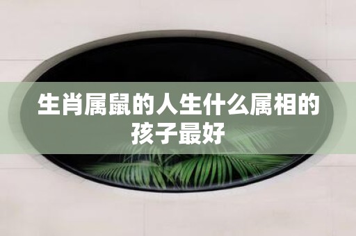 生肖属鼠的人生什么属相的孩子最好