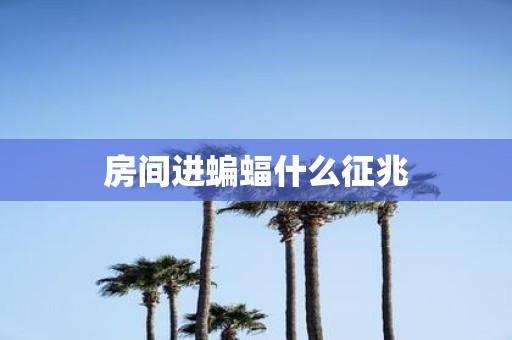 房间进蝙蝠什么征兆