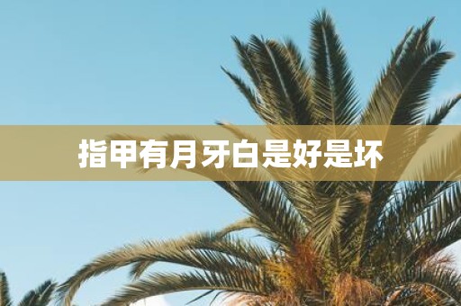 指甲有月牙白是好是坏