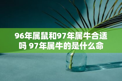96年属鼠和97年属牛合适吗 97年属牛的是什么命