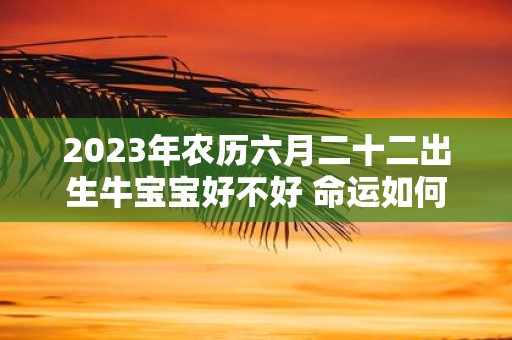 2025年农历六月二十二出生牛宝宝好不好 命运如何