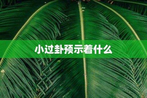 小过卦预示着什么
