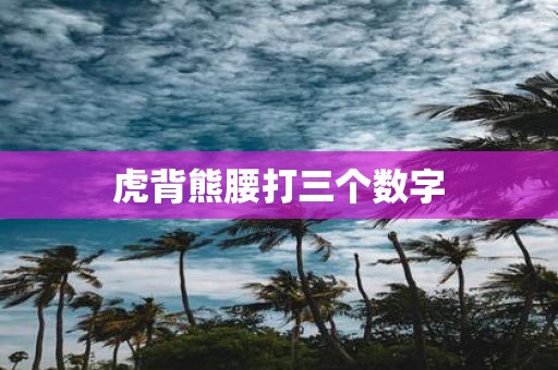 虎背熊腰打三个数字