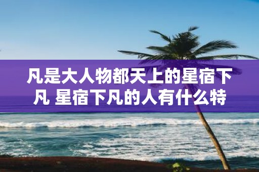 凡是大人物都天上的星宿下凡 星宿下凡的人有什么特点