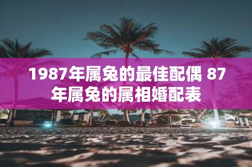 1987年属兔的最佳配偶 87年属兔的属相婚配表