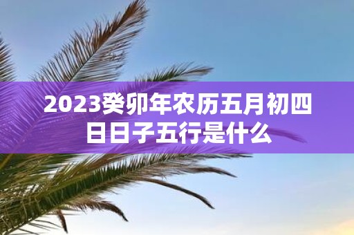 2025癸卯年农历五月初四日日子五行是什么