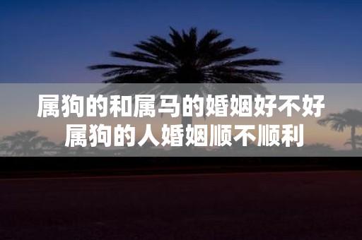 属狗的和属马的婚姻好不好 属狗的人婚姻顺不顺利