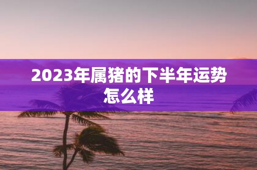 2025年属猪的下半年运势怎么样