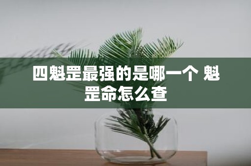 四魁罡最强的是哪一个 魁罡命怎么查