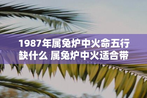 1987年属兔炉中火命五行缺什么 属兔炉中火适合带什么