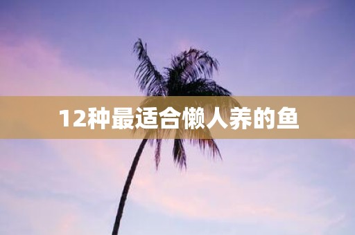 12种最适合懒人养的鱼