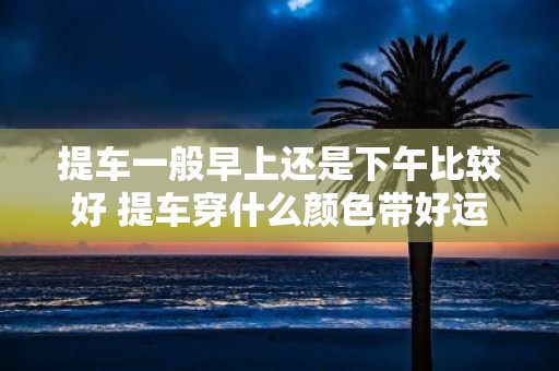 提车一般早上还是下午比较好 提车穿什么颜色带好运