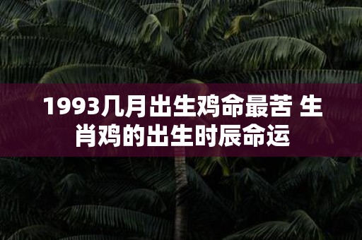 1993几月出生鸡命最苦 生肖鸡的出生时辰命运